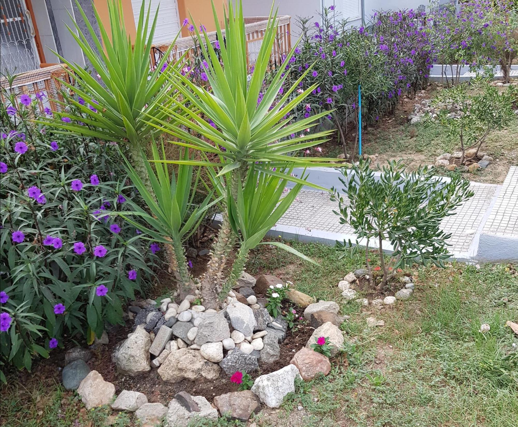 Roses Studios Nea Moudania Exterior foto